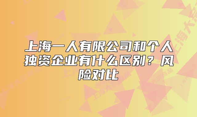 上海一人有限公司和個人獨資企業(yè)有什么區(qū)別？風險對比