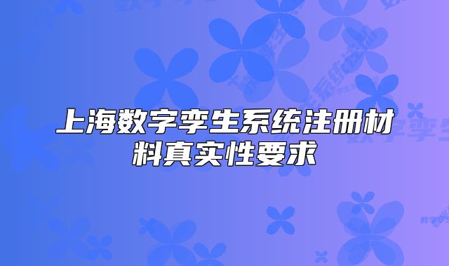 上海數(shù)字孿生系統(tǒng)注冊(cè)材料真實(shí)性要求