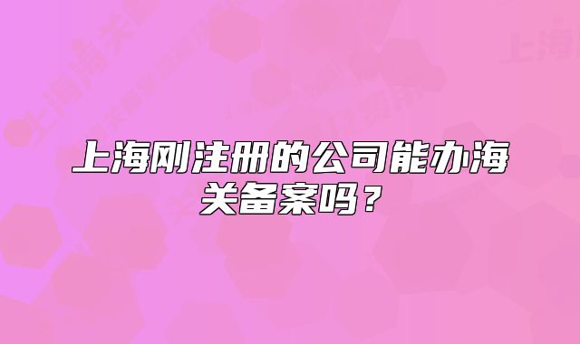 上海剛注冊的公司能辦海關備案嗎？