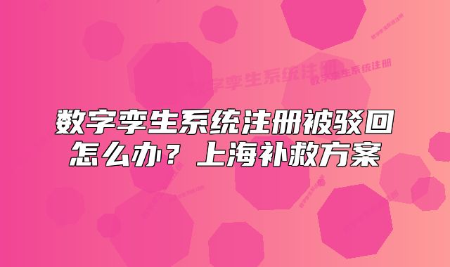 數(shù)字孿生系統(tǒng)注冊被駁回怎么辦？上海補救方案