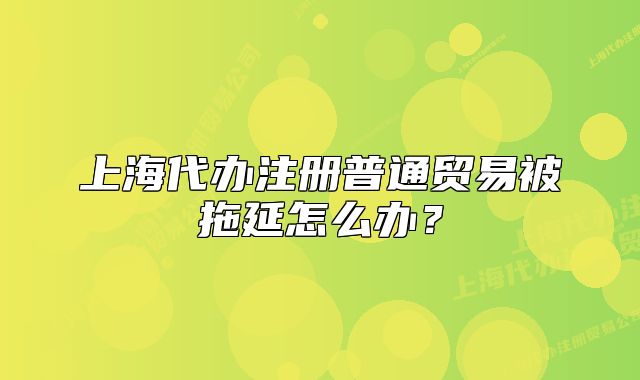 上海代辦注冊(cè)普通貿(mào)易被拖延怎么辦？