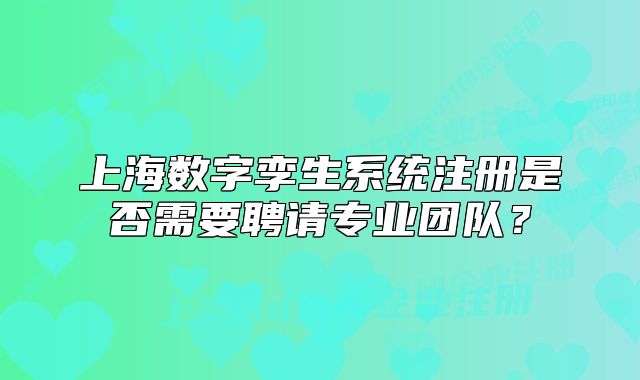 上海數(shù)字孿生系統(tǒng)注冊是否需要聘請專業(yè)團(tuán)隊(duì)？
