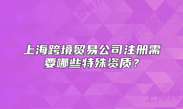 上?？缇迟Q(mào)易公司注冊需要哪些特殊資質(zhì)？