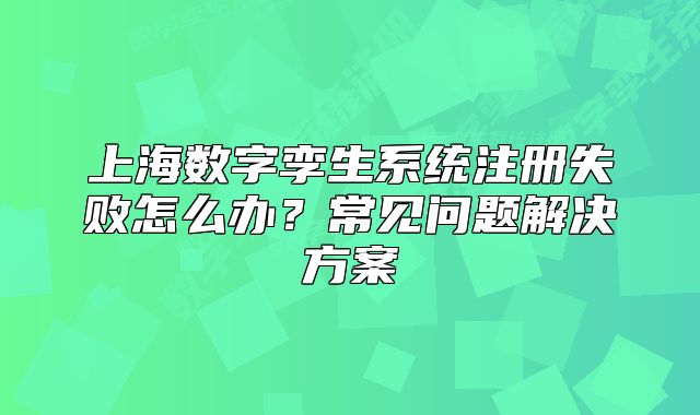 上海數(shù)字孿生系統(tǒng)注冊失敗怎么辦？常見問題解決方案