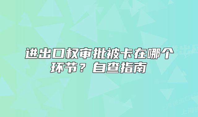 進出口權審批被卡在哪個環(huán)節(jié)？自查指南
