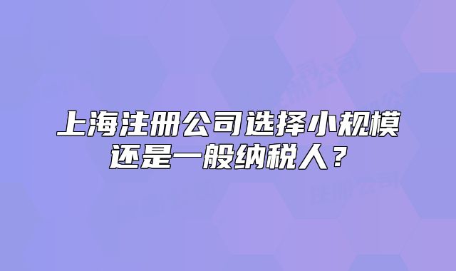上海注冊(cè)公司選擇小規(guī)模還是一般納稅人？