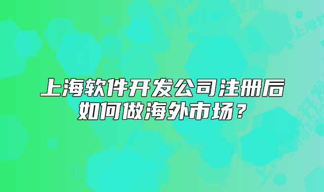 上海軟件開(kāi)發(fā)公司注冊(cè)后如何做海外市場(chǎng)？