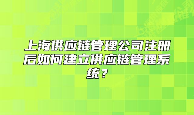 上海供應(yīng)鏈管理公司注冊后如何建立供應(yīng)鏈管理系統(tǒng)？