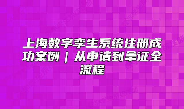 上海數(shù)字孿生系統(tǒng)注冊(cè)成功案例｜從申請(qǐng)到拿證全流程