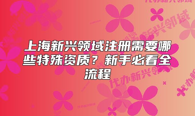 上海新興領域注冊需要哪些特殊資質？新手必看全流程