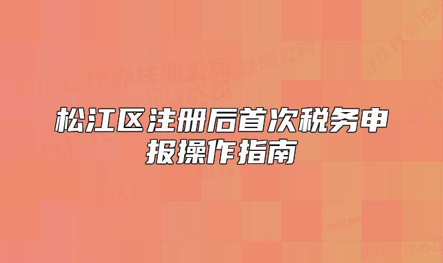 松江區(qū)注冊后首次稅務(wù)申報(bào)操作指南