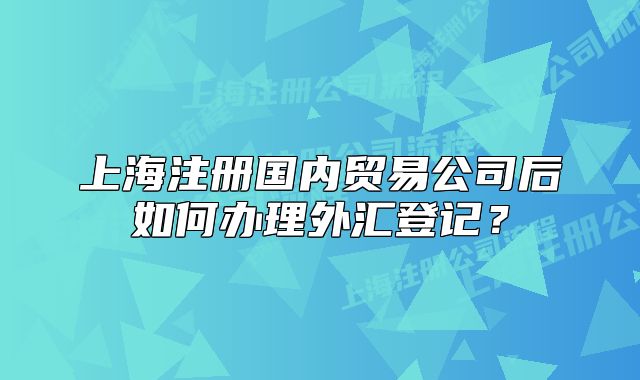 上海注冊國內(nèi)貿(mào)易公司后如何辦理外匯登記？
