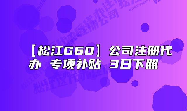 【松江G60】公司注冊代辦 專項補(bǔ)貼 3日下照