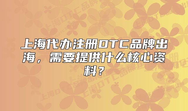 上海代辦注冊DTC品牌出海，需要提供什么核心資料？