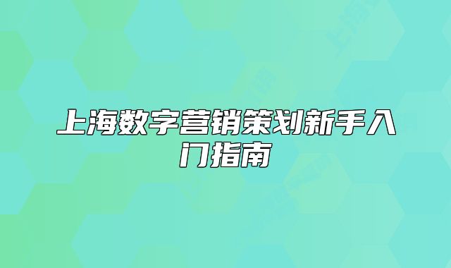 上海數(shù)字營銷策劃新手入門指南
