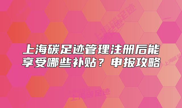 上海碳足跡管理注冊(cè)后能享受哪些補(bǔ)貼？申報(bào)攻略