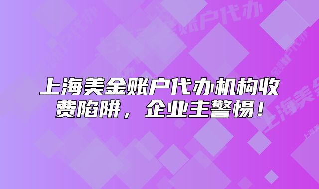 上海美金賬戶代辦機構(gòu)收費陷阱，企業(yè)主警惕！